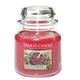 yankee-candle-red-raspberry-medium-jar-candle-1323187.jpg